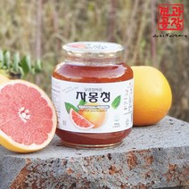 견과공장 자몽청 950g 자몽청세트 수제청 과일청, 1개입, 1개