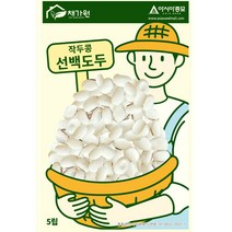 작두콩씨앗 - 백도두 작두콩(5립) S2557