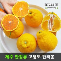 이츠올릿 제주 고당도 한라봉 5kg (가정용 혼합과) 제주도 하우스 귤 택배 선물 세트