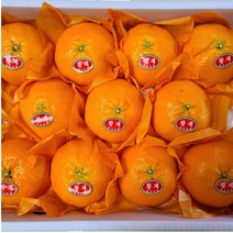 [주부의 선택] 제주 레드향 최고급 명절 선물세트, 선물용 5KG / 대과 / 20과 / 보자기 포장