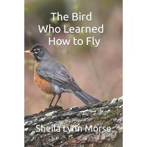 (영문도서) The Bird Who Learned How to Fly Paperback, Independently Published, English, 9798497513431