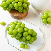 [04시까지오늘출발] 고당도 샤인머스켓 1kg (2-3수), 고당도 샤인머스켓 가정용 1kg (2-3수)