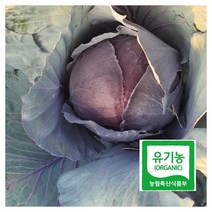 제주 유기농 적양배추(적채) 3kg