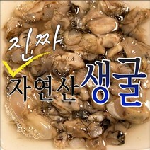 국내산 자연산 생굴 1kg~2kg 내외 / 산지직송 / 껍질없이배송, 자연산생굴1kg내외