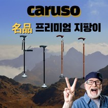 카루소 접이식 노인 지팡이 재활 어르신 보행 보조기 환자 복지 용구 프리미엄 지팡이, C 830 L