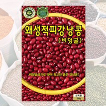 왜성적피강낭콩씨 30g 콩씨 씨앗 대장 KS종묘
