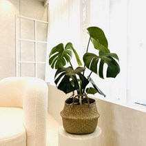 해초바구니 왕골 라탄바구니, 옵션5