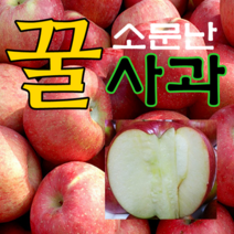 [산지직송] 2022년 햇사과 부사 소미네 사과, 1박스, 07.사과 가정용흠과 중소과 10kg (38과내외)