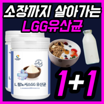 람노서스 락토바실러스 유산균 LGG 엘지지 rgg 패밀리 페밀리 온가족 키즈 유아 베이비 우먼 여성 임산부 직장인 장까지 살아가는 유생균 30대 40대 50대 가루 파우더 분말, 230gx2통