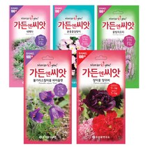 야생화씨앗 수입꽃 100선 가든엔씨앗 톱풀파스텔 배초향 알케밀라 제비고깔 수레국화 제라늄, 로벨리아