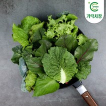 [온도씨]가락시장 모듬쌈1kg (6~7종류), 단품