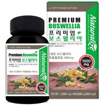 인도산 프리미엄 보스웰리아 60정 10 +사은품 보스웰릭산65% 세라타나무 테르페노이드 글루코사민 상어연골 히알루론산 해조칼슘 피쉬콜라겐 울금 비타민D 아연 무릎 관절 연골 영양제, 1000mg
