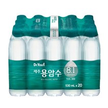 제주 용암해수 고급 생수 530ml 20개 알칼리 워터 경수 건강한