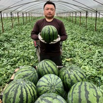 (안전포장) 새벽수확 산지직송 하우스 꿀수박 고당도, 꿀 수박 6kg 이하