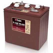 골프카트 전용 배터리 밧데리 전기 자동차 전원공급, T875(8V170AH)