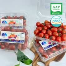 스테비아 방울토마토 대추 토망고, 500g, 4개