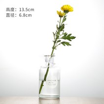 꽃병 생화 조화 화병 작은 유리 꽃병 꽃 냄비 바구니 병 홈 인테리 방꾸미기 데코 소품, 07 7