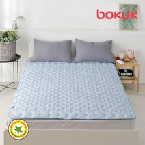 보국 전기요 캠핑 전기 장판 매트 담요 2인용 에어셀 워셔블 국내생산 BKB-0606D