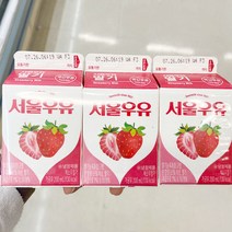 서울 딸기우유 200mlx3 x 2개, 보냉백