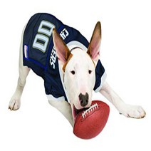 NFL LOS ANGELES CHARGERS DOG Jersey X-Large, 1