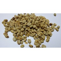 커피나무씨앗50g(250립), 1개