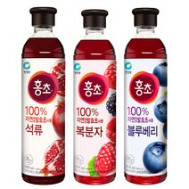 청정원 석류 블루베리 복분자 자연발효 홍초 900ml