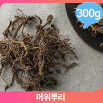 담금주 약주 머위 300g 뿌리 영양 약초 쌉싸름 건강