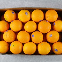 호주 네이블 오렌지 30입 (중과190g내외 88과)