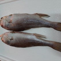 동울산수산 손질과 염장 반건조 침조기 28cm제수용및밥반찬 황민어 긴가이석태, 5마리