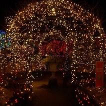 조형물 나무 인테리어 조명 연결형 방수 LED 100구 지네전구 웜색 10M 행사장 장식품 포인트 벽조명 야경 천장 줄조명 깜박이는 관광지 꾸미기 분위기 텐트꾸미기 트리전구 만들기