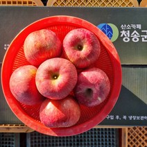 봉농장 경북 청송 꿀 사과 햇 홍로 5kg 10kg 기깔나게 맛있는 집, 5kg(20~23과), 1개