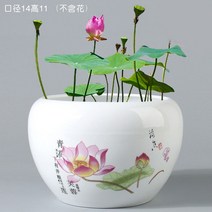 연꽃 수반 도자기 실내 연못 미니 정원 발코니 거실, 대형 부용고 화분