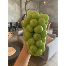 김천 프리미엄 샤인머스캣 샤인머스켓 망고포도 제철 과일바구니 예단 추석 선물 세트 2키로, 수출용 특등급 1.5kg/2-3수