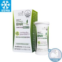 비에날씬 프로 체지방 감소 다이어트 유산균 + 씨오케이 마스크 사은품, 425mg X 30캡슐 (1개월분)