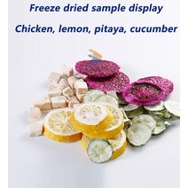 드라이에이징냉장고 진공 과일 동결 건조 기계 미니 야채 식품 트레이 5 개 4-6kg/배치, 02 by sea to door