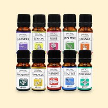 노아코스메틱 퓨어 에센셜 오일 10종 출시기념 특별행사 50%, 라벤더, 1개