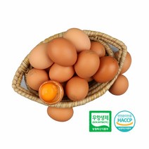 [알부자집] 친환경 무항생제 계란 대란 90구(30구X3판)