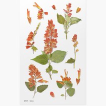 압화스티커 다꾸 폰꾸 스티커 샐비어 꽃스티커 압화책갈피