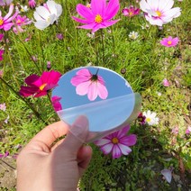 24가지 비정형거울 아크릴 오브제 거울 베이스 민자, 2mm두께직경100mm원형