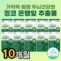 식약청 인정 은행잎 추출물 고함량 징코 혈액 순환 혈행 기억력 개선 브레인 두뇌 영양제 손가락 손끝 발가락 팔다리 저림 에좋은 부모님 노인 시니어 수험생 집중력 혈관, 30정 x 10박스 10개월분, 10개, 30정