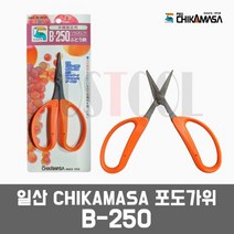 CHIKAMASA(치카마사) 일산 B-250 / 포도가위(채과가위)