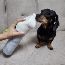 휴대용 산소캔