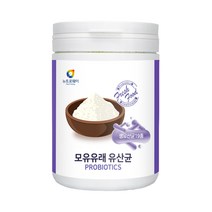 모유유래유산균 230g 생유산균19종 락토바실러스
