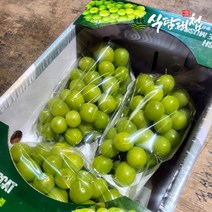 식탐대첩 프리미엄 샤인머스켓 망고포도 3송이 2kg, 단품