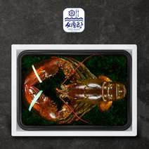 [씨토랑]프리미엄 점보 활랍스터세트 1미 2.0kg마리당 1.8-2.2kg, 단품