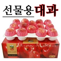 [사과선물세트] 청송사과 대과 5kg 선물용 재수용, 1박스, 02.고급형_선물용 대과 5kg (12~14과내외)