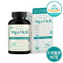 고함량 마그네슘 비타민B 영양제 활력 에너지 보충 신경 근육 기능 유지 영양제 사은품증정, 1통