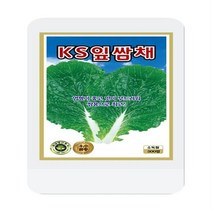잎쌈채씨 500립 쌈배추 씨앗 대장 KS종묘