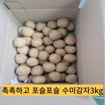 2023년 6월 수확 햇 감자 3kg 수미감자 알감자 강원도 밀양 제주도 지금수확 햇감자, 3kg(조림용)알감자, 1개