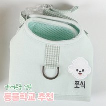 리토가토 러비 커스텀 캐릭터 강아지 하네스 민트 (컴퓨터 자수) 동물학교 추천